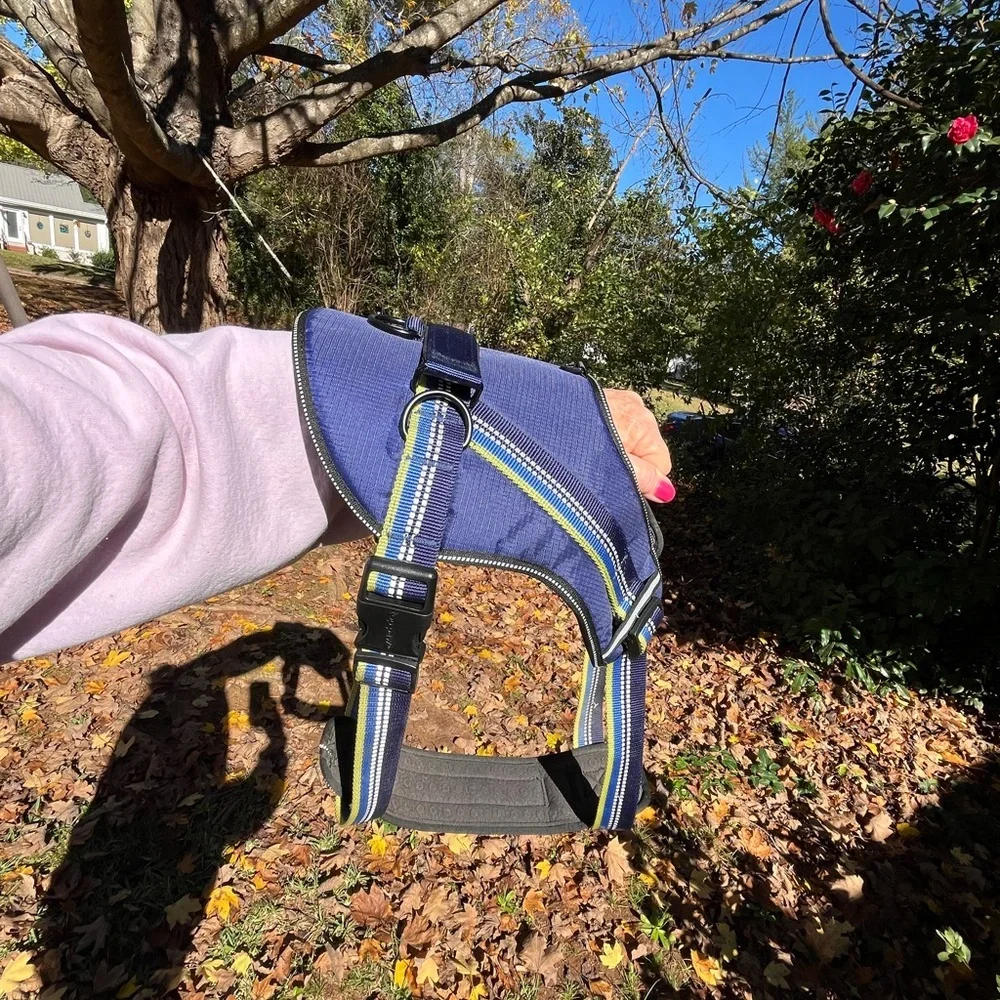 Head brand Blue Dog harness